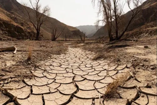 فقه محیط زیست قرائت تازه ای از آیهٔ فساد و تباهی در خشکی و دریا