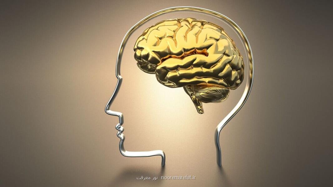 رازهای تقویت مغز با تمرینات ساده روزانه، حقایقی که باید جدی گرفت