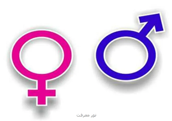 فلسفه اسلامی درباره ی جنسیت چه می گوید؟