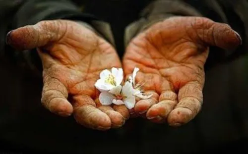 درآمد حلال چه طور آرامش و خوشبختی را به خانواده می آورد؟