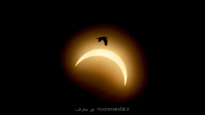 مقایسه با معصوم