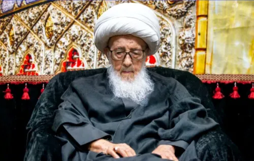 همه همت خویش را در خدمت به فاطمیه صرف کنید