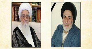 فقدان آیت الله عاملی برای مراكز علمی و دینی خسارت است